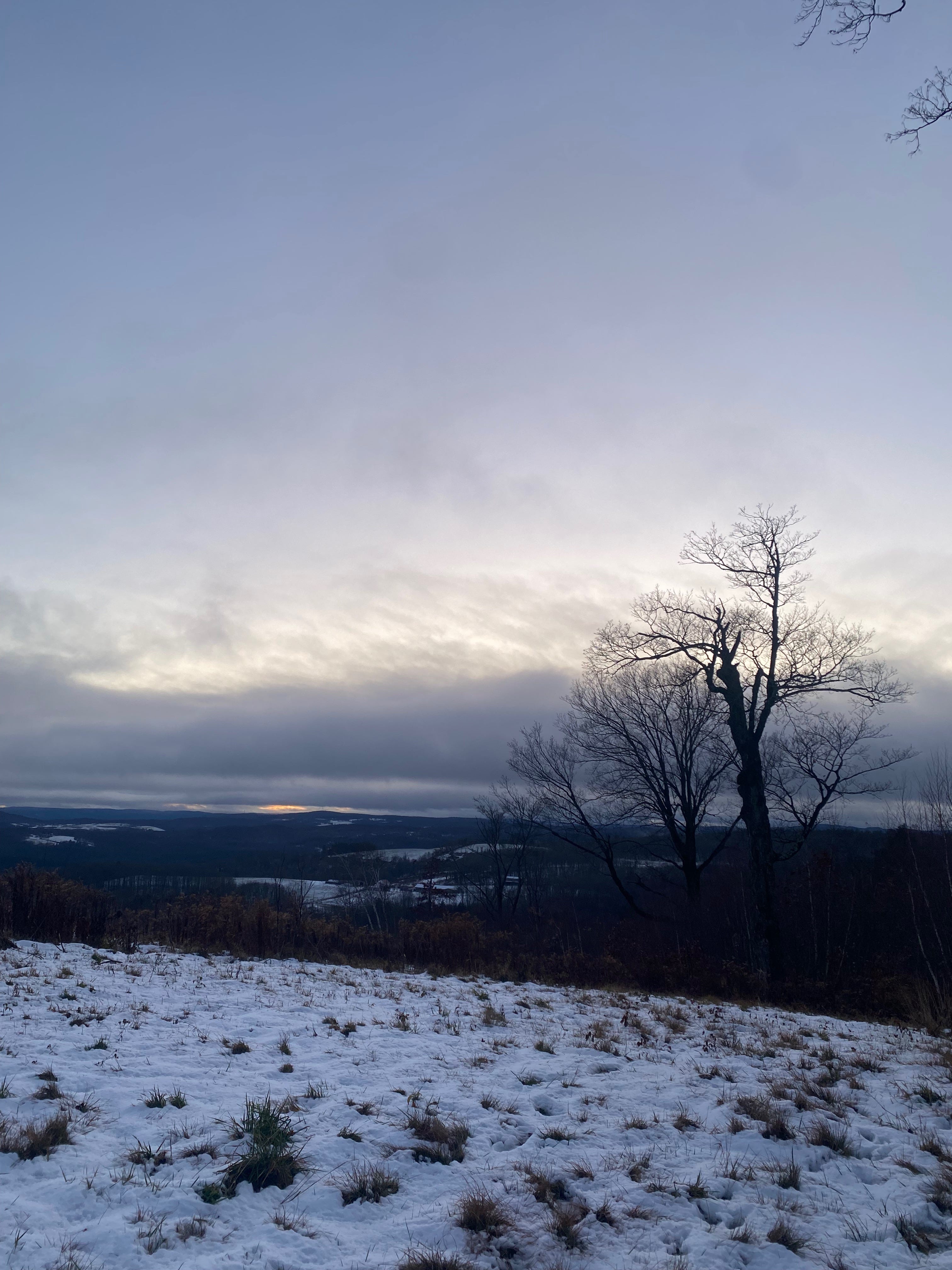 A snowy ridgetop. The sky is slate gray. The bare branches of several trees are black against the sky.