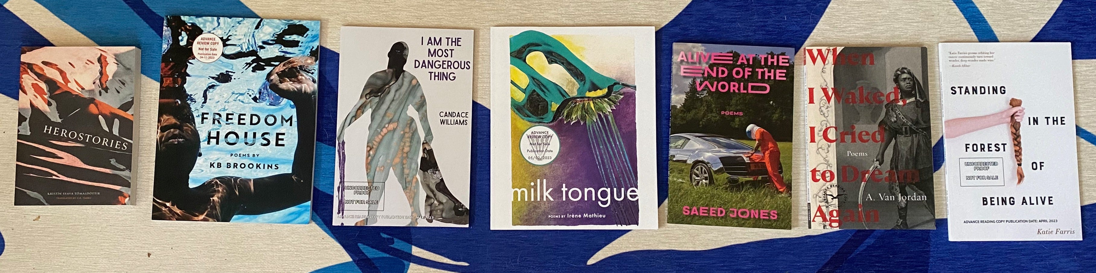 The listed books laid out in a row on a blue and white rug.