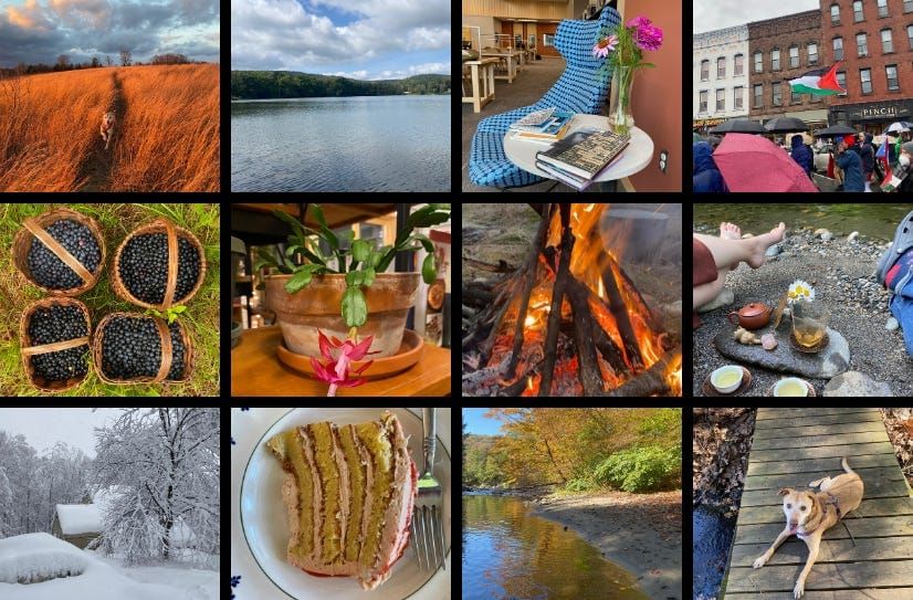 A collage of the 12 photos featured below.