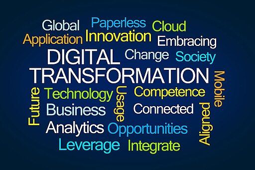 Srilekha selva, CC BY-SA 4.0 , via Wikimedia Commons