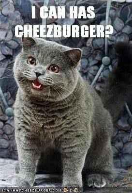 Speak LOLcat