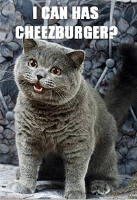 Great explanation of LOLcat history