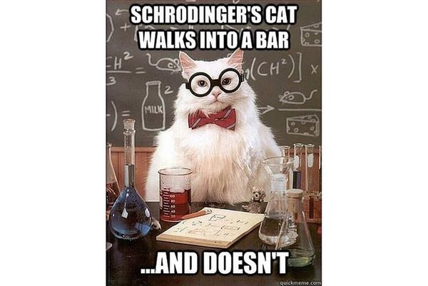 It's Caturday  says Chemistry Cat