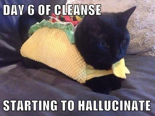 Being thankful is a good idea (so are tacos)