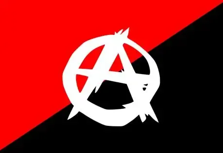 Everything you ever wanted to know about anarchism but were afraid to ask