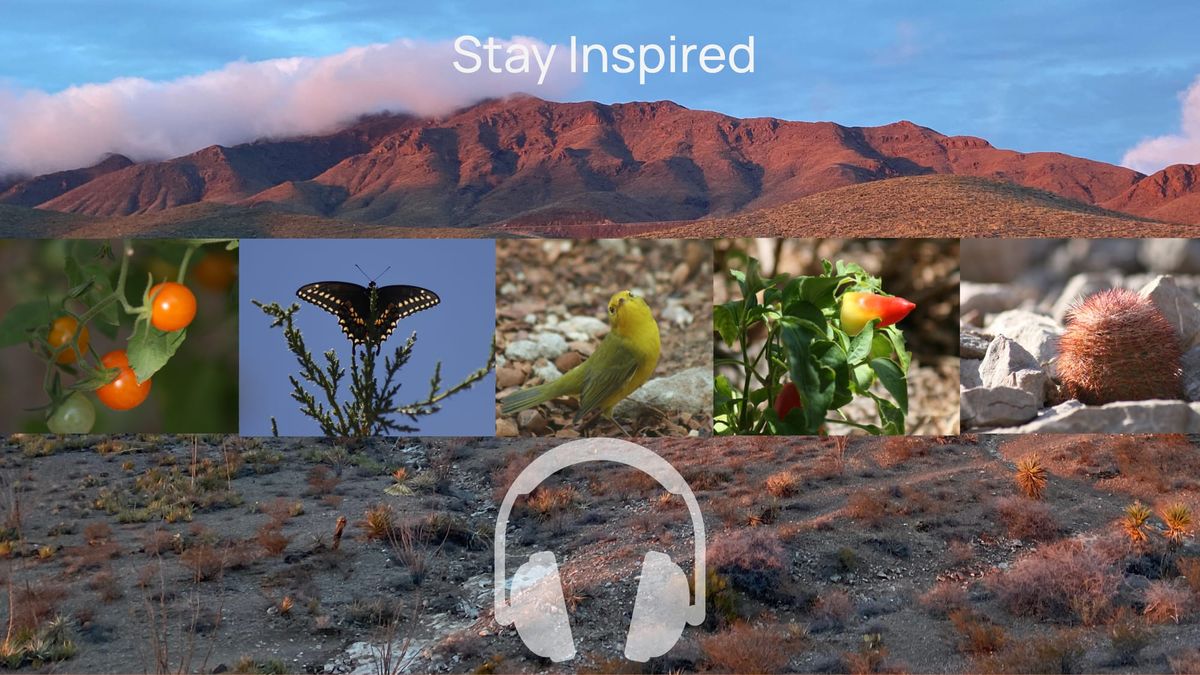 Podcast: Garden and Nature southwest