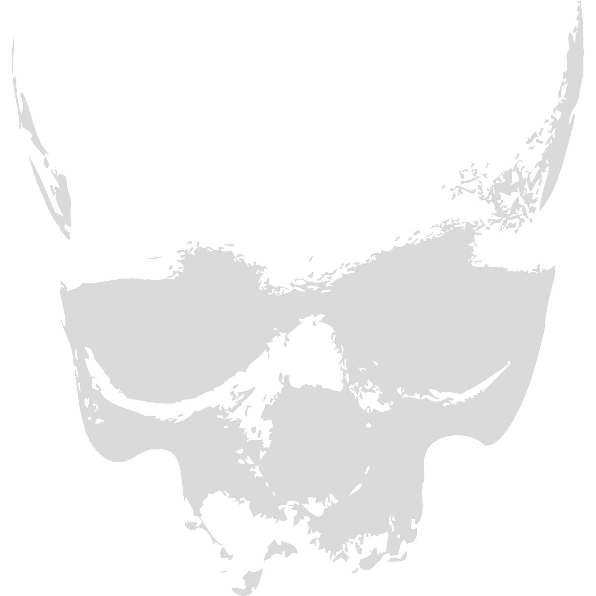 Rayne Corvus Miller