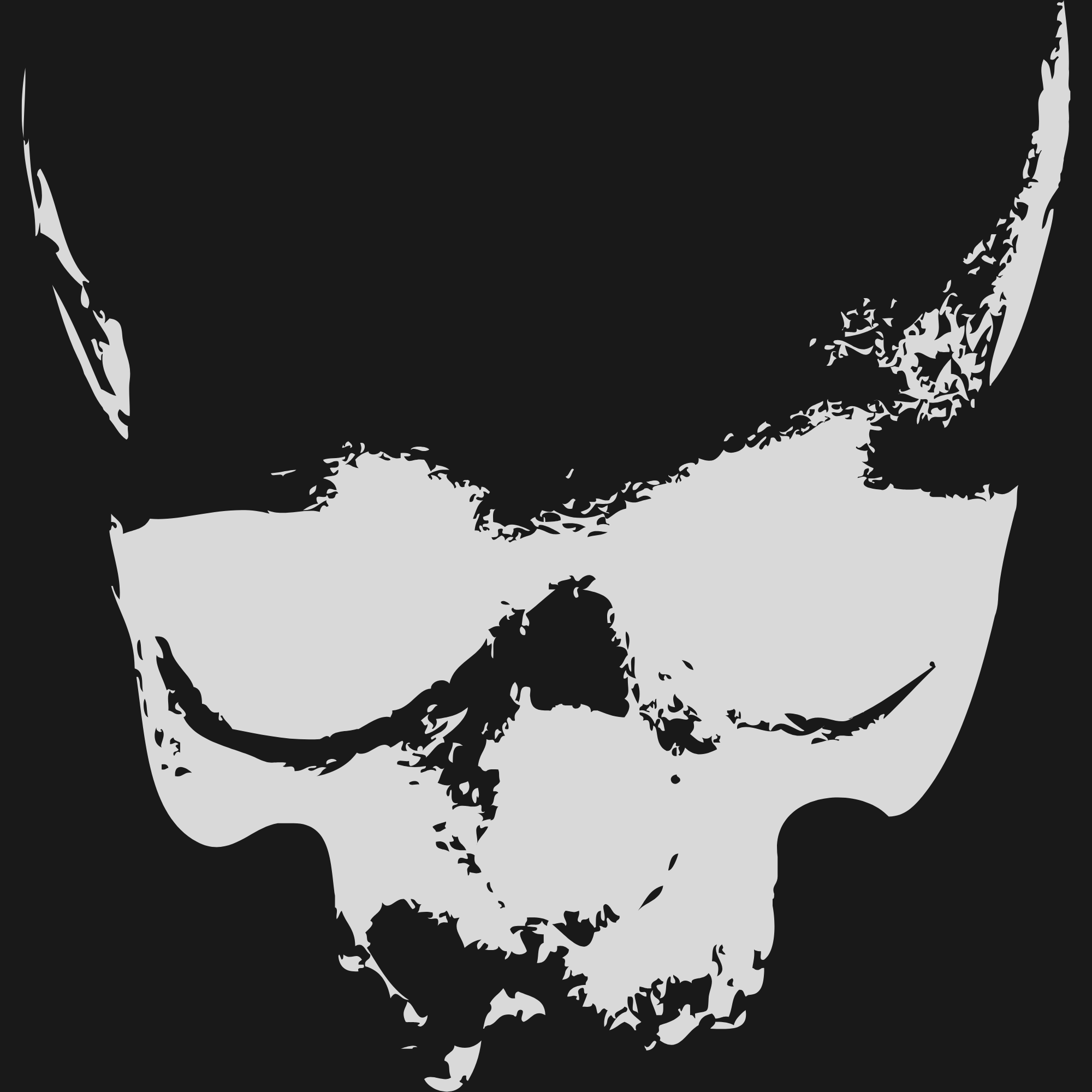Rayne Corvus Miller