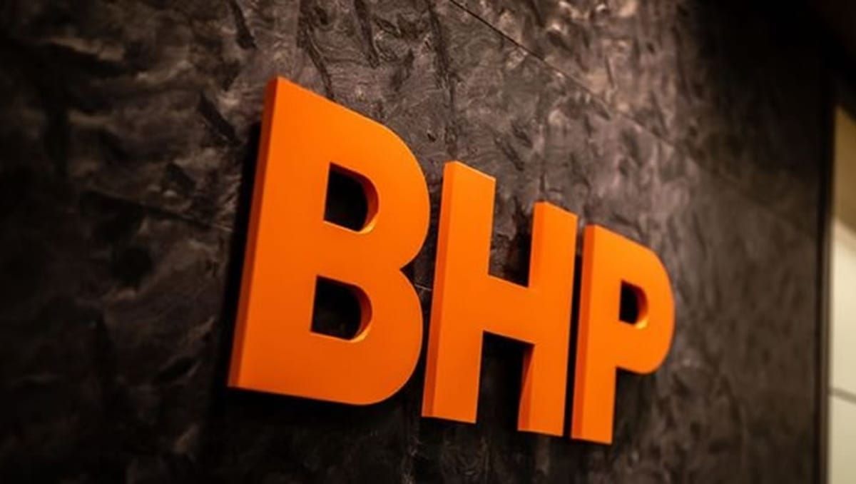 Buy-Write BHP - Trade Review