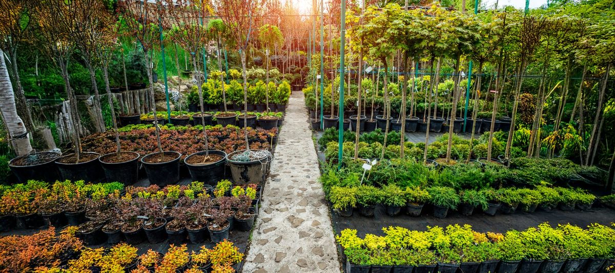 Not Just Restaurants: 7 Unexpected Businesses That Sell at Auction