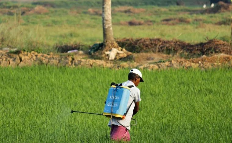 Servicios de Control de Plagas: Protección y Tranquilidad para tu Hogar