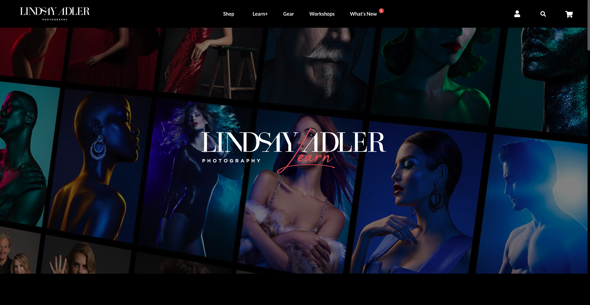 Lindsay Adler courses