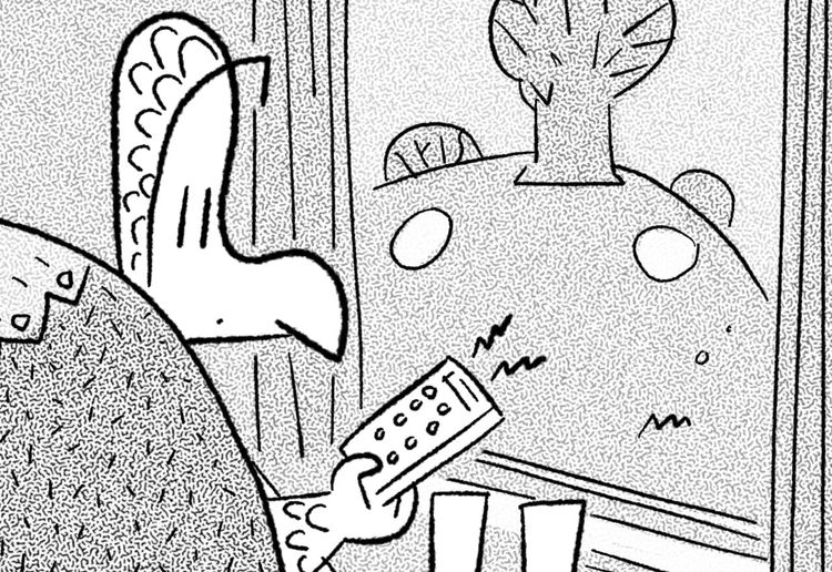 Spring is on Windo-Vision