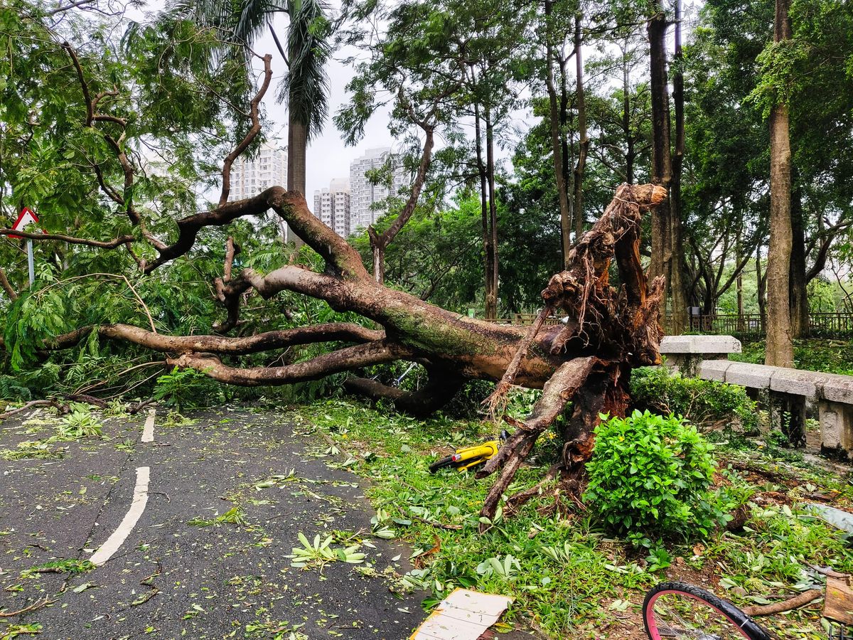 Hong Kong Broken But Still Got To Work