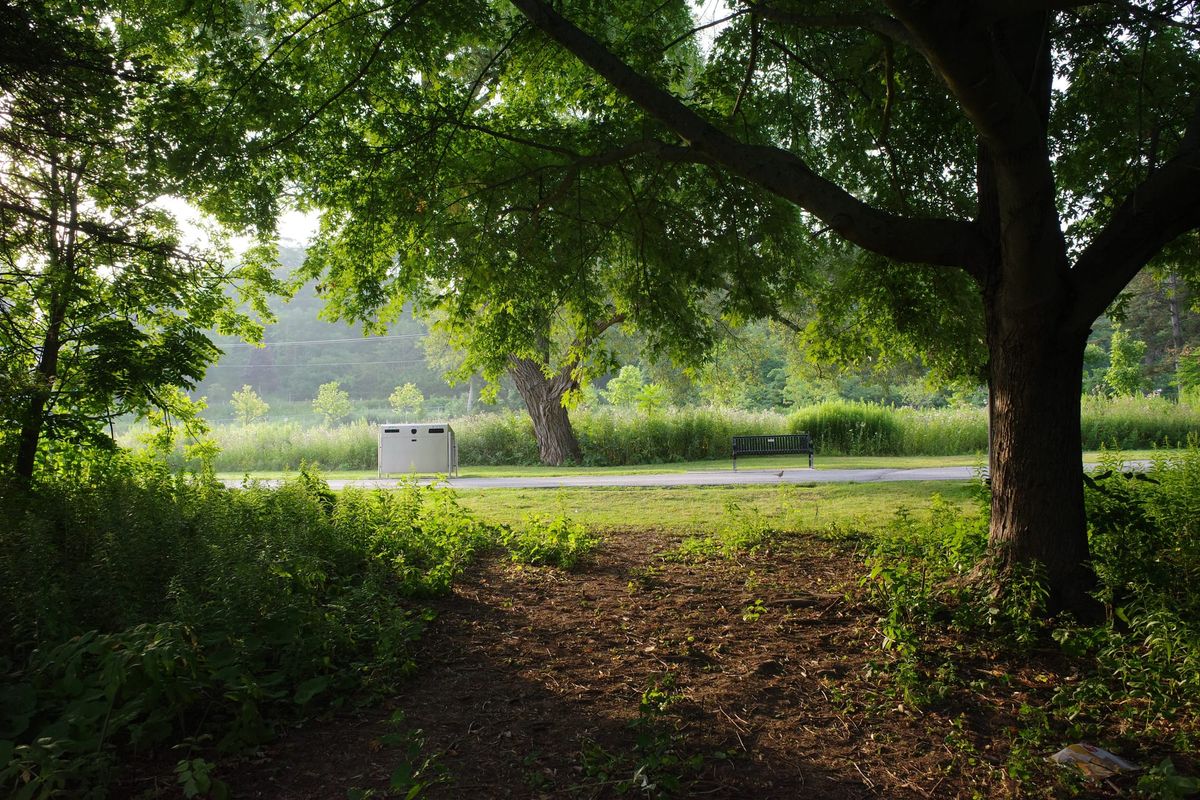 My Ritual Walk In Newmarket Ontario