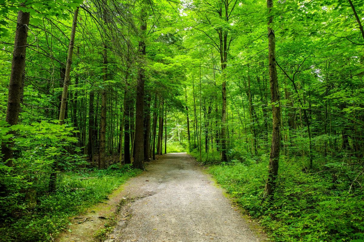 Taking My Mom For a Walk