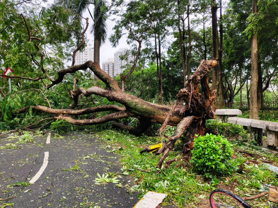 Hong Kong Broken But Still Got To Work