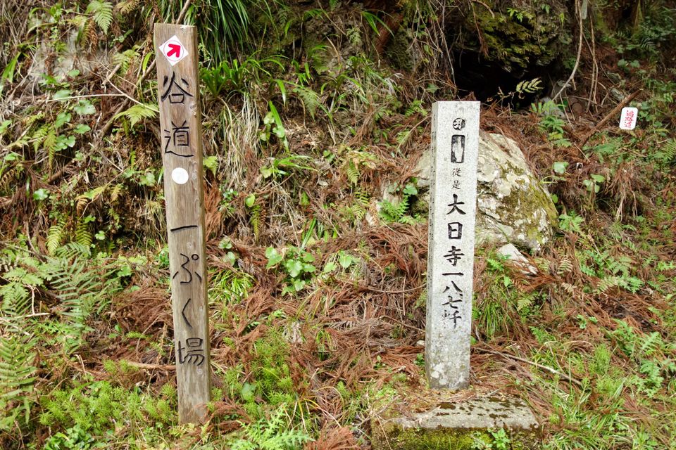 Walk to Temple 13 - Dainichiji