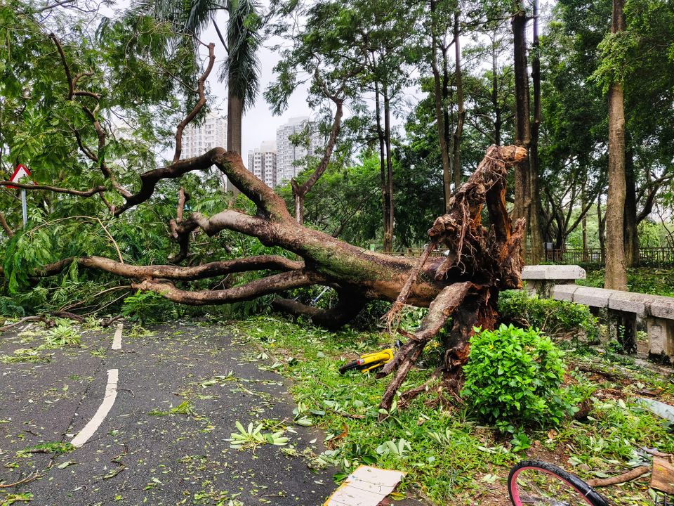 Hong Kong Broken But Still Got To Work