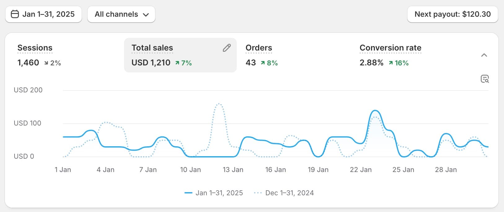 Passive income earnings from my digital products in January