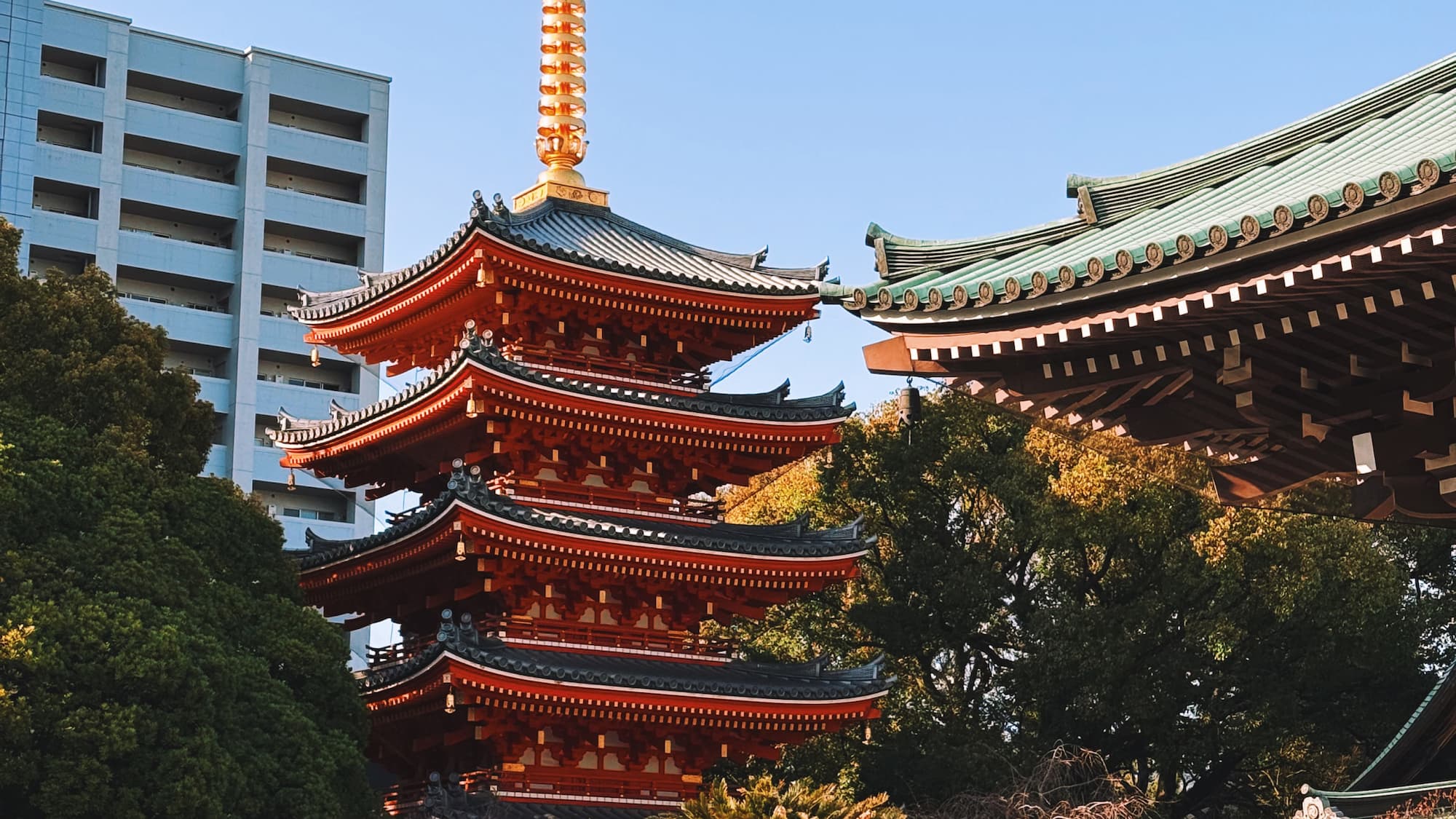 My Cost of Living in Japan as a Digital Nomad