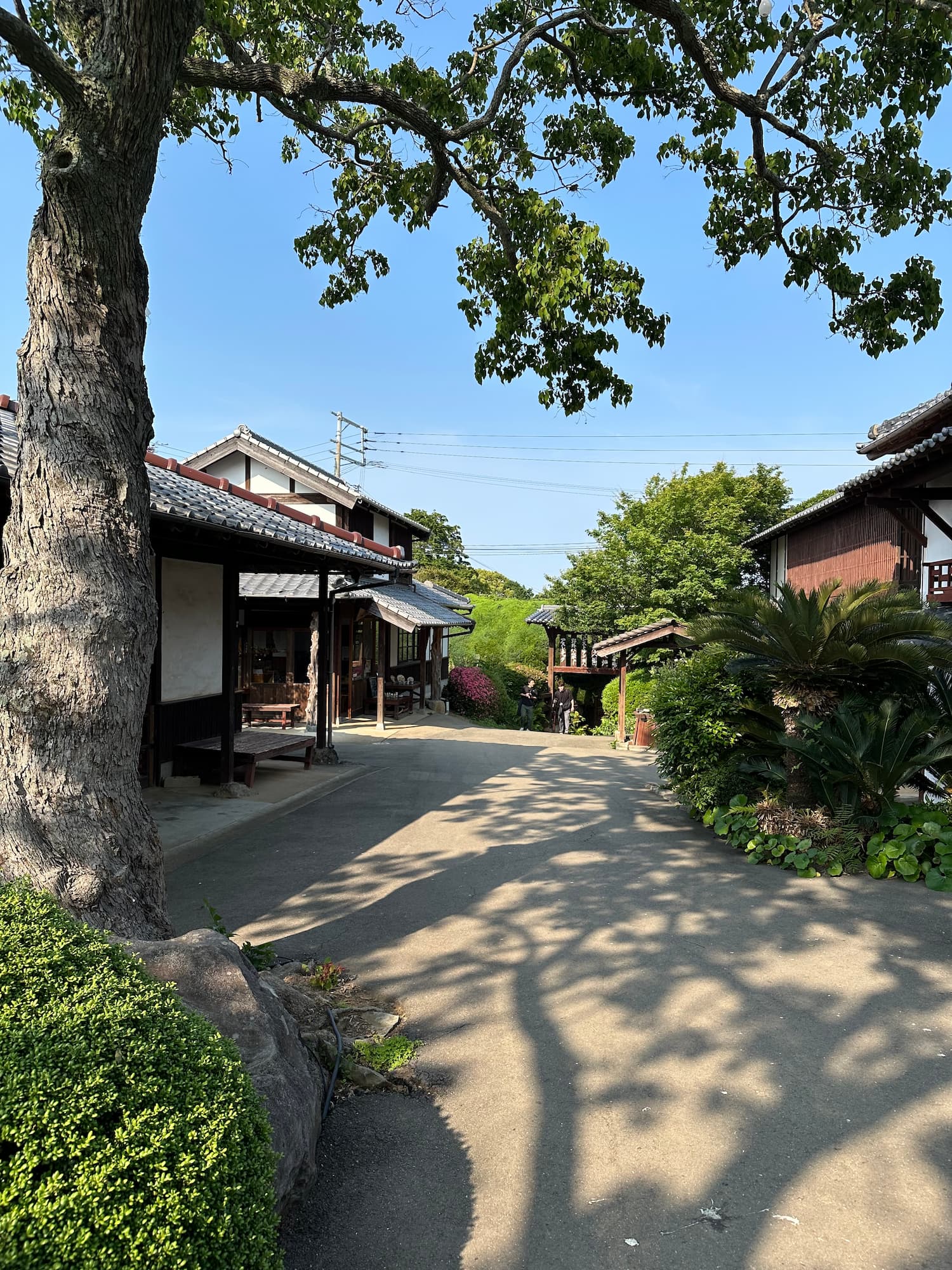 Nokonoshima village near Fukuoka