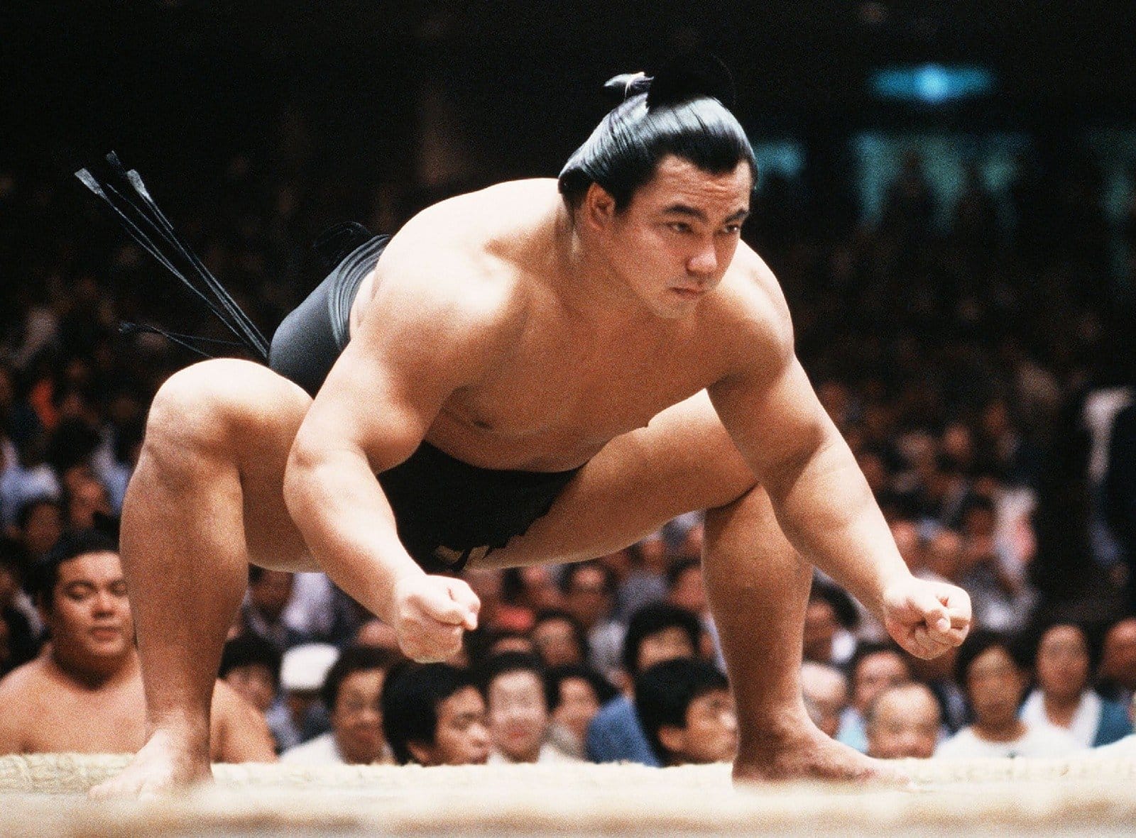 The Sumo Strength Workout for Grappling, Football, and Rugby.