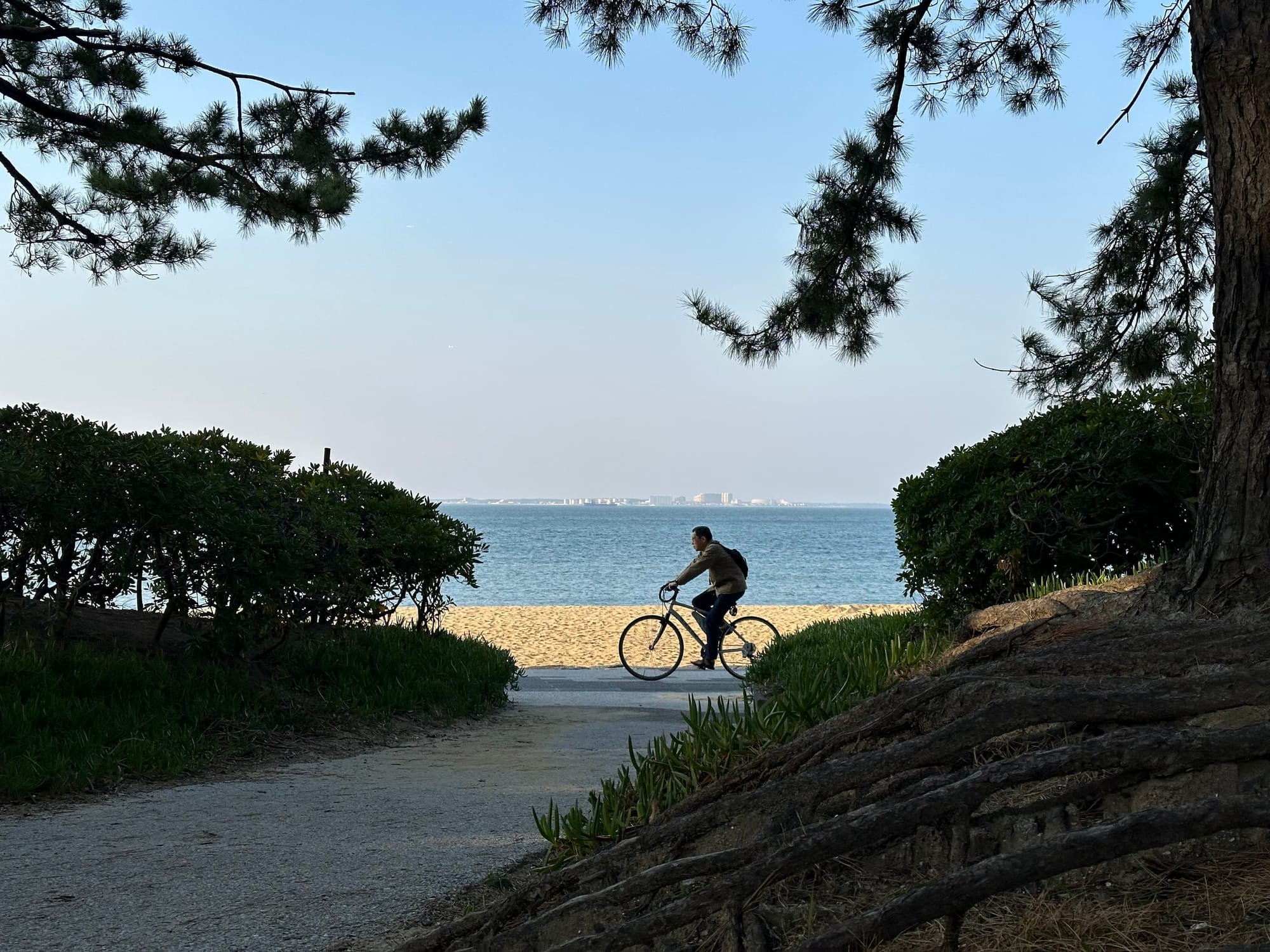 Guide to Fukuoka for Digital Nomads