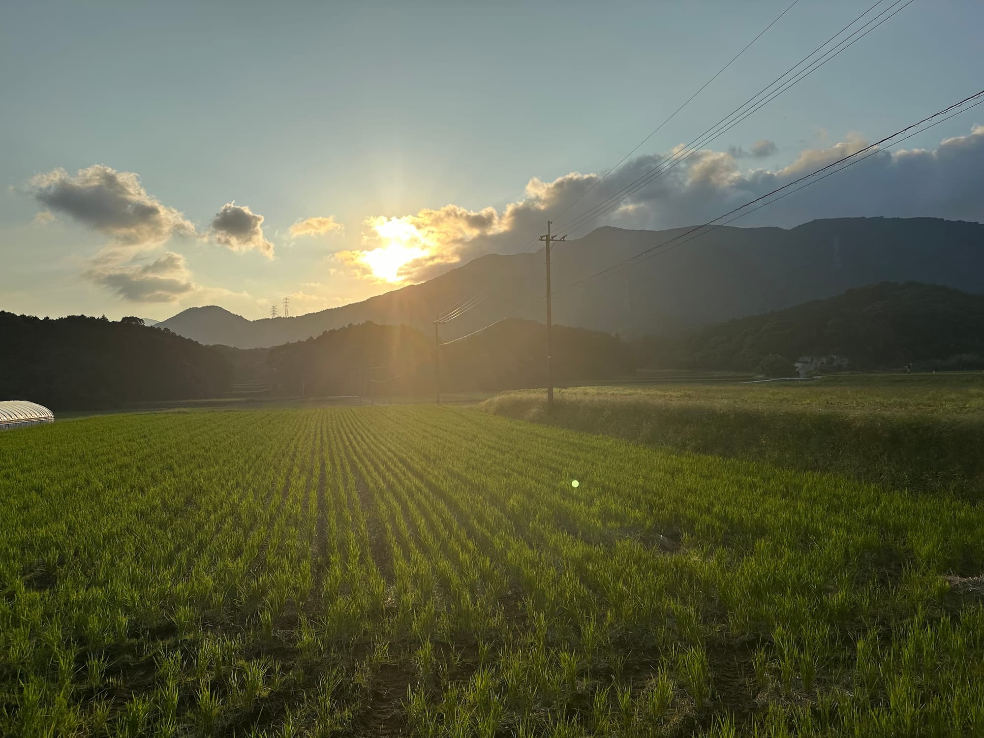 We Joined a Countryside Tour in Iizuka, Japan