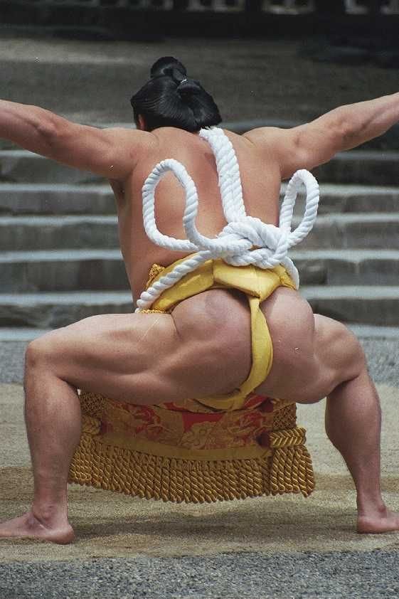 a sumo wrestlers muscular legs and glutes