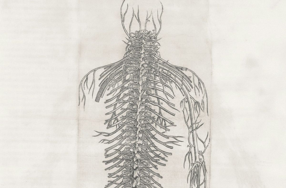 Top Tips for Neurology Examinations