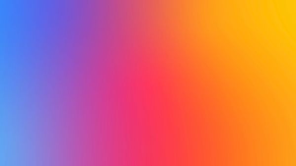 Weekly Newsletter Issue 49