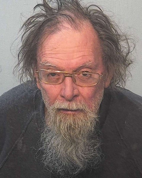 Allen County warrant photograph for Jan Diniz Voorhees
