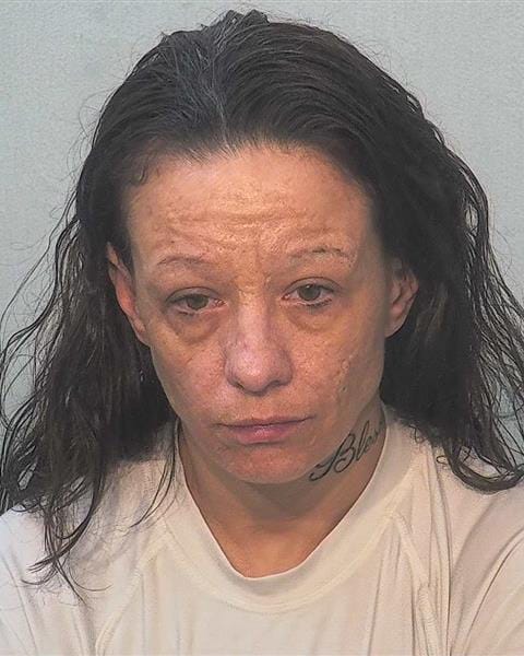 Allen County warrant photograph for Windy Marie Vredenburg