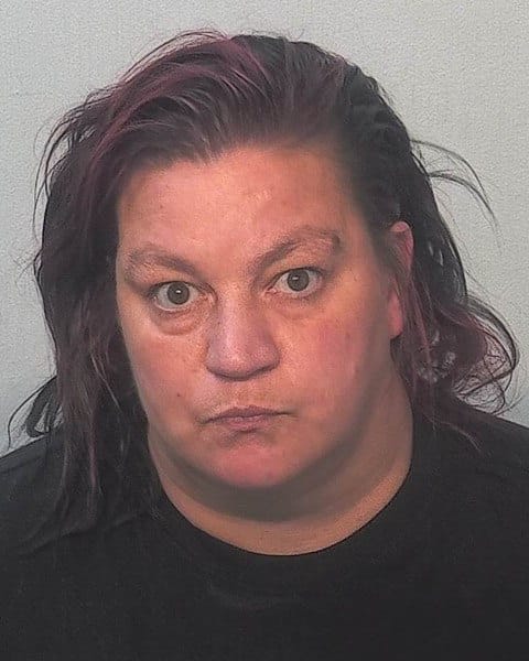 Allen County warrant photograph for Lavana Leigh Erpelding