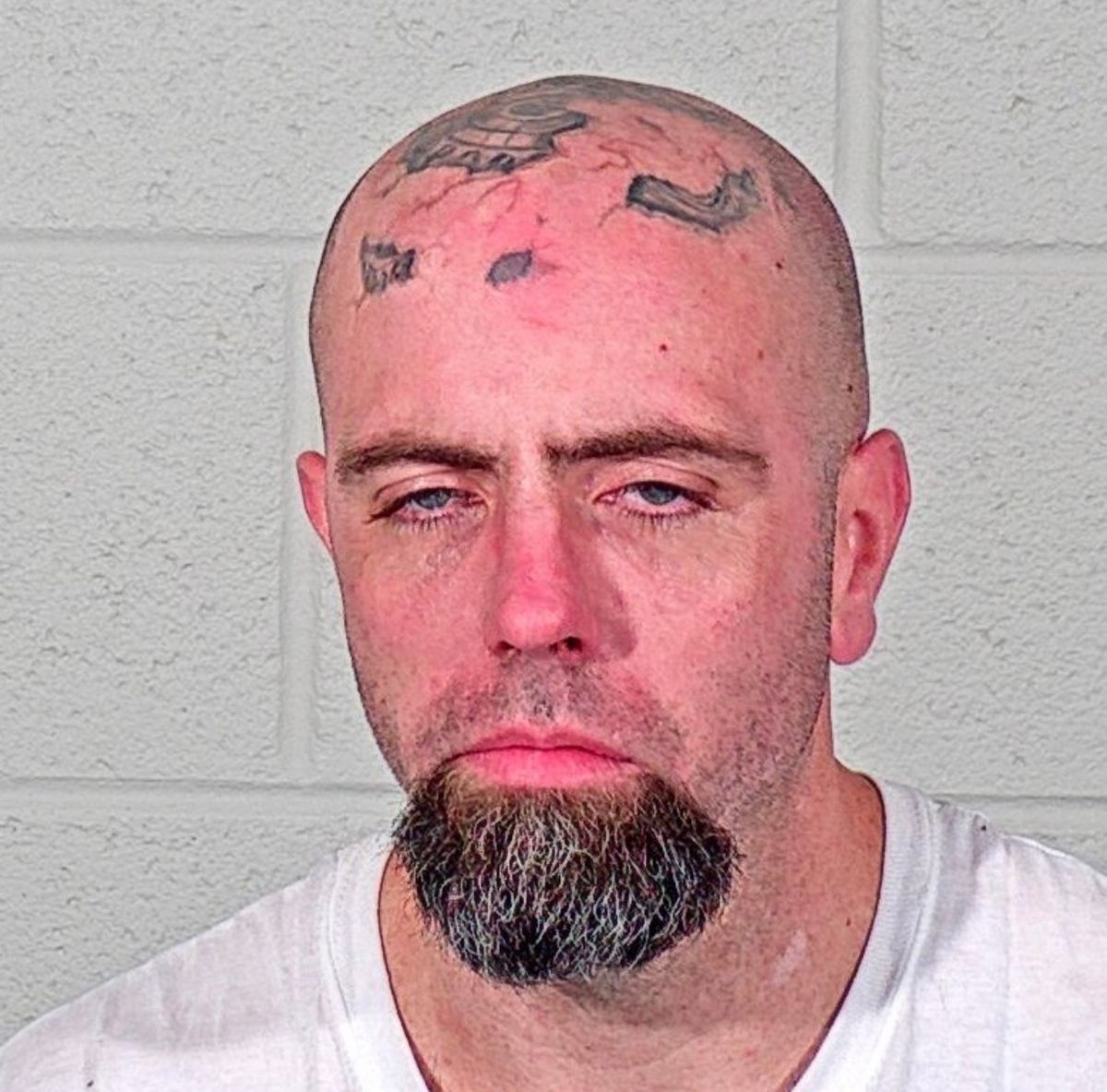 Joshua Taylor Chase | Steuben County