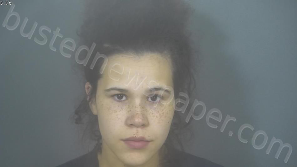 Jamie Christine Ann Stineman | St Joseph County