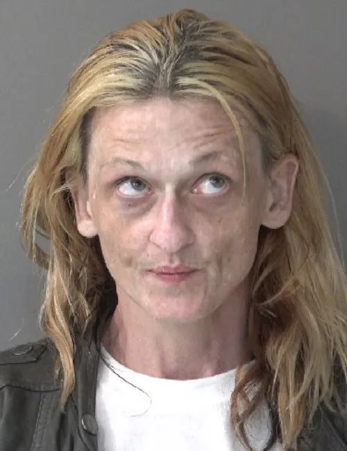 Sarah Ann Kaufman | Kosciusko County