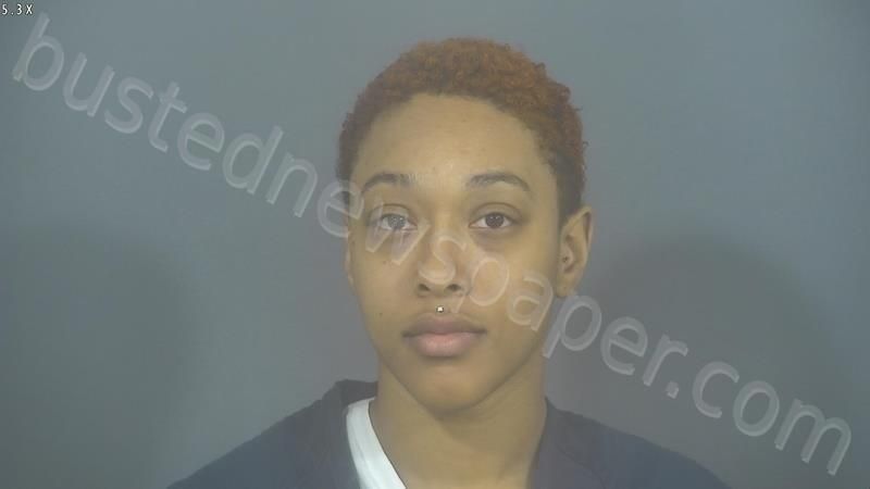 Brittany Mone Adams | St Joseph County