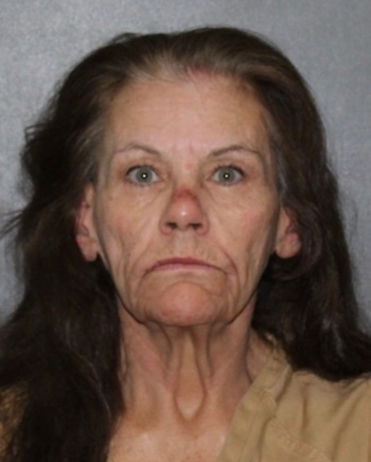 Angela Sue Johnson | Elkhart County
