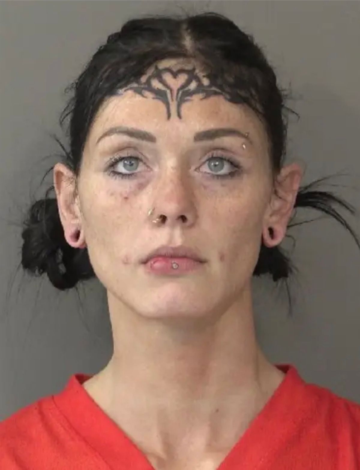 Cassidy Jo Parsons | Kosciusko County