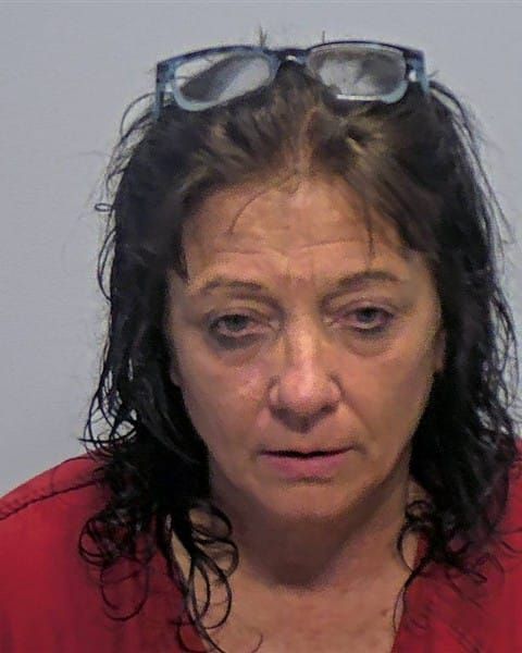Julie Diane Marini | Porter County
