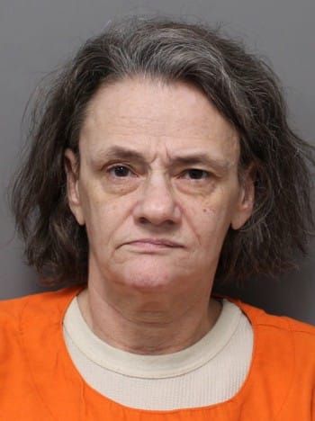 SHARI L GOODWIN | Hendricks County