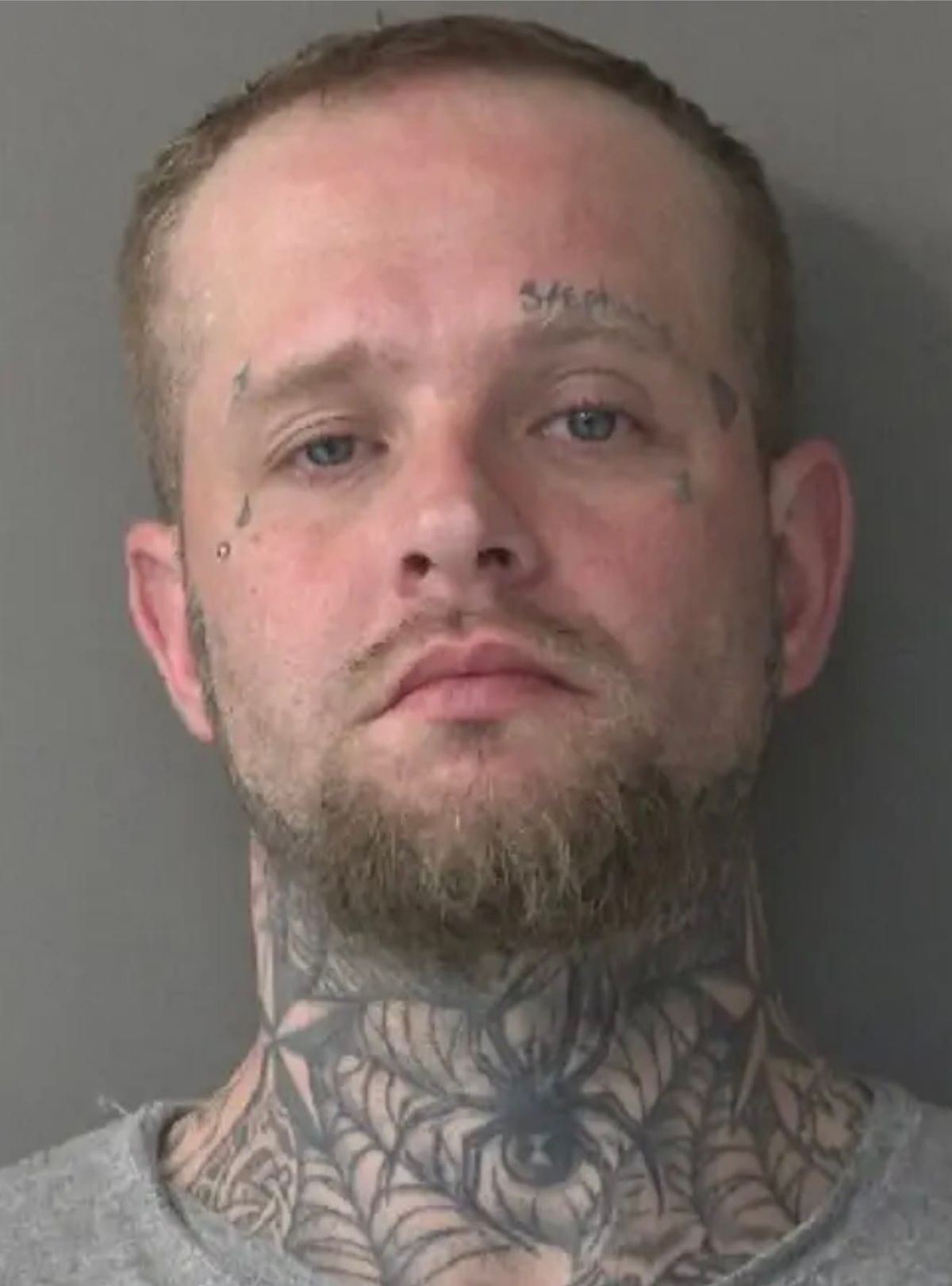 Shane Andrew Timmons | Kosciusko County