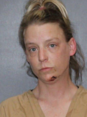 Amanda Wilson | Elkhart County