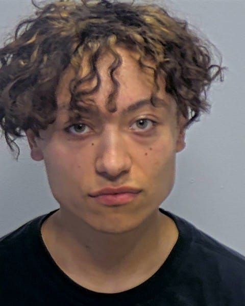 Milano Amadeo Sanchez | Porter County