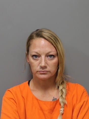 AERIAL RAVEN GREEN | Hendricks County