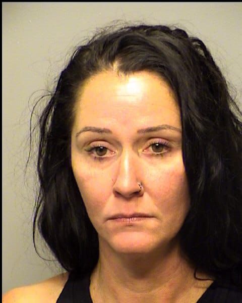 Felisia Lavon Schmick | Porter County