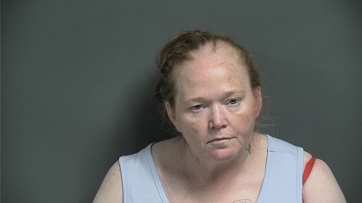 Sherri L Collins | Knox County