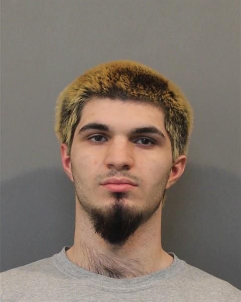 Demetri Yorgos Theodorou | Lake County